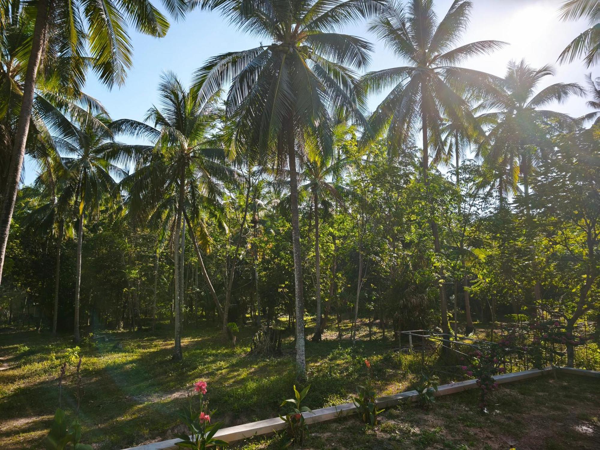 The Secret Garden Homestay Koh Yao Yai Ko Yao エクステリア 写真