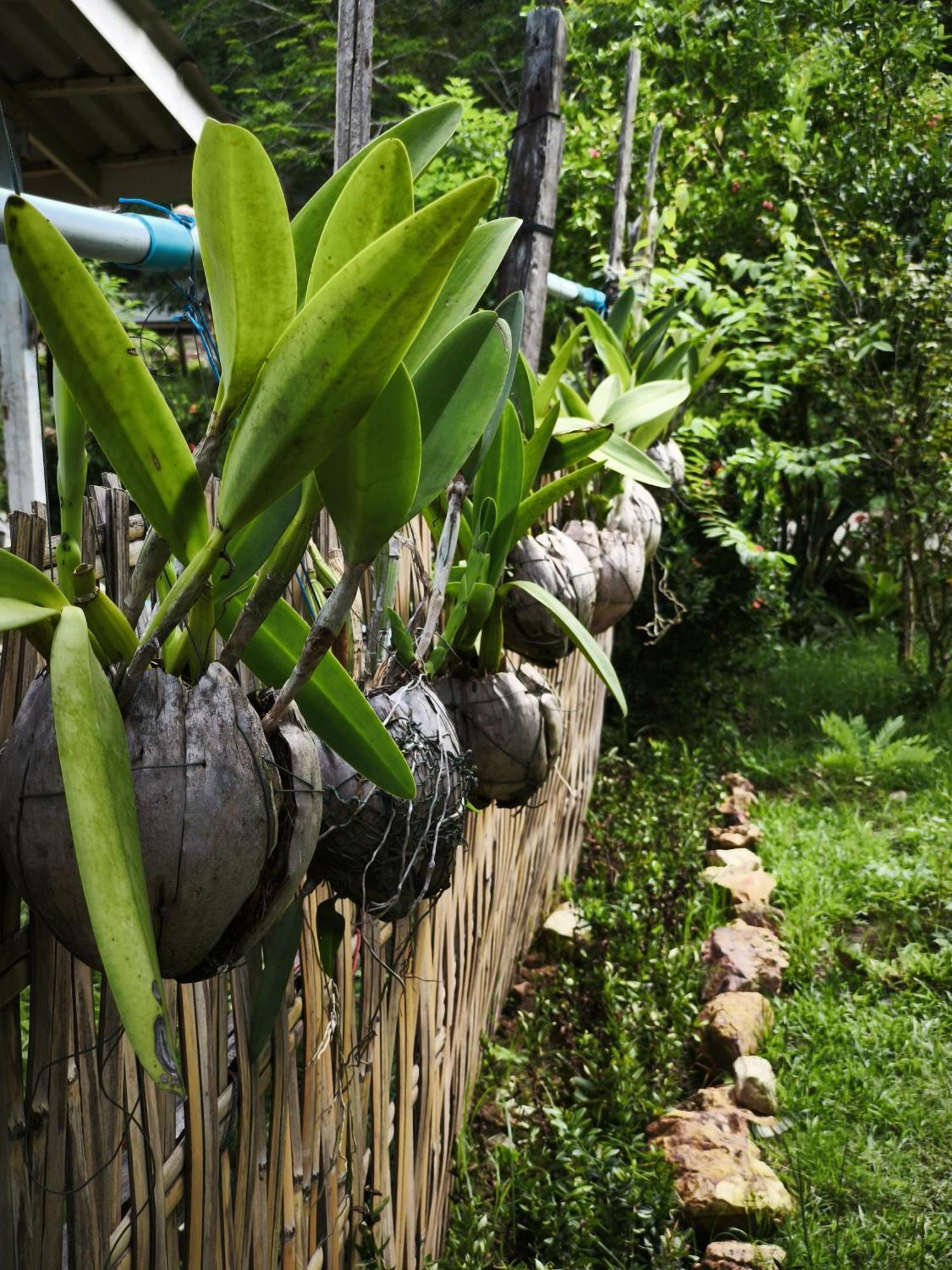 The Secret Garden Homestay Koh Yao Yai Ko Yao エクステリア 写真